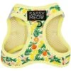 Sassy Woof Zest Friends Cat Harness