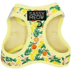 Sassy Woof Zest Friends Cat Harness