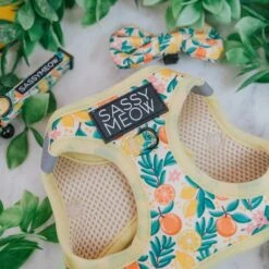 Sassy Woof Zest Friends Cat Harness -Cat Supplies 1019734 PT2. AC SS1800 V1699915841