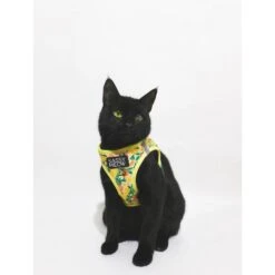 Sassy Woof Zest Friends Cat Harness -Cat Supplies 1019734 PT3. AC SS1800 V1699919067