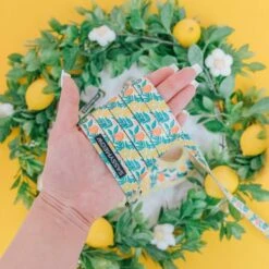 Sassy Woof Zest Friends Cat Leash, 6-ft Long -Cat Supplies 1019830 PT2. AC SS1800 V1699915844