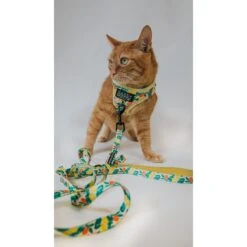 Sassy Woof Zest Friends Cat Leash, 6-ft Long -Cat Supplies 1019830 PT3. AC SS1800 V1699915840