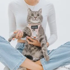 Sassy Woof Smitten Kittens Cat Harness -Cat Supplies 1019894 PT3. AC SS1800 V1699915842