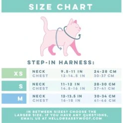 Sassy Woof Smitten Kittens Cat Harness -Cat Supplies 1019894 PT4. AC SS1800 V1699919066