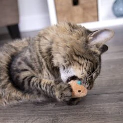 SmartyKat Chickadee Chirp Electronic Bird-Sound Cat Toy -Cat Supplies 102753 PT8. AC SS1800 V1700689276