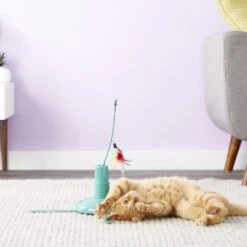 SmartyKat Loco Motion Electronic Cat Toy -Cat Supplies 102790 PT6. AC SS1800 V1527257127