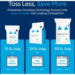 Boxiecat Premium Unscented Clumping Clay Cat Litter -Cat Supplies 103571 PT6. AC SS1800 V1643673743