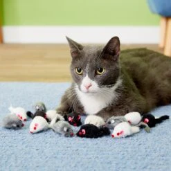 Penn-Plax Purr Pet Bag Of Mice Cat Toy, Color Varies -Cat Supplies 103731 PT2. AC SS1800 V1595370657