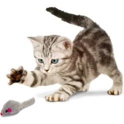 Penn-Plax Purr Pet Bag Of Mice Cat Toy, Color Varies -Cat Supplies 103731 PT3. AC SS1800 V1595365257