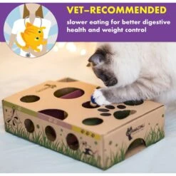 Cat Amazing Interactive Treat Maze & Puzzle Cat Toy -Cat Supplies 105304 PT3. AC SS1800 V1490298113
