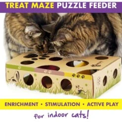 Cat Amazing Interactive Treat Maze & Puzzle Cat Toy -Cat Supplies 105304 PT4. AC SS1800 V1490298114