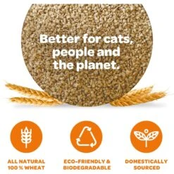 SWheat Scoop Premium+ Unscented Natural Clumping Wheat Cat Litter -Cat Supplies 107357 PT3. AC SS1800 V1667518089