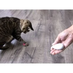 SmartyKat Loco Laser Cat Toy, Color Varies 17 SmartyKat Loco Laser Cat Toy, Color Varies -Cat Supplies 107597 PT8. AC SS1800 V1700689391