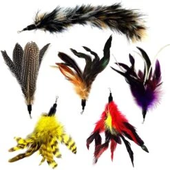 Pet Fit For Life 6 Piece Replacement Feather Pack For Wand Cat Toy