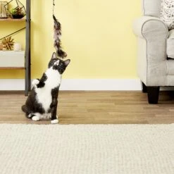 Pet Fit For Life 6 Piece Replacement Feather Pack For Wand Cat Toy -Cat Supplies 109318 PT3. AC SS1800 V1589320674