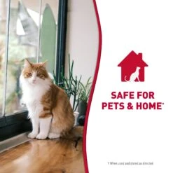 Nature's Miracle Cat Enzymatic Stain Remover & Odor Eliminator Spray, 32-oz Bottle 16 Nature's Miracle Cat Enzymatic Stain Remover & Odor Eliminator Spray, 32-oz Bottle -Cat Supplies 115440 PT7. AC SS1800 V1701453353