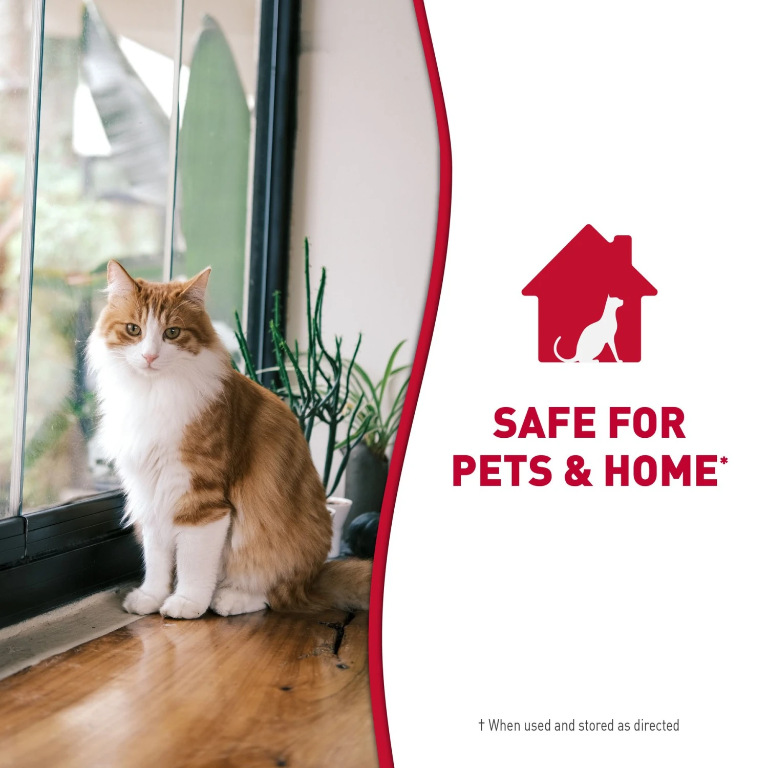 Nature's Miracle Cat Enzymatic Stain Remover & Odor Eliminator Spray, 32-oz Bottle 8 Nature's Miracle Cat Enzymatic Stain Remover & Odor Eliminator Spray, 32-oz Bottle - Image 8