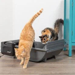 Pet Zone Smart Scoop Automatic Self-Cleaning Cat Litter Box -Cat Supplies 115602 PT7. AC SS1800 V1639015418