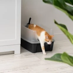 IRIS USA Open Top Litter Box With Scatter Shield & Scoop -Cat Supplies 116462 PT6. AC SS1800 V1680809081