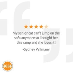 K&H Pet Products Scratch, Ramp & Track Cat Scratcher Toy With Catnip -Cat Supplies 121319 PT5. AC SS1800 V1627353689