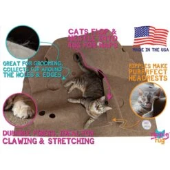 SnugglyCat Ripple Rug Cat Activity Play Mat -Cat Supplies 122790 PT3. AC SS1800 V1493762828