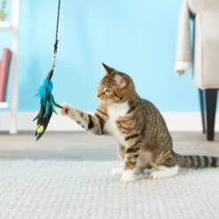 Pet Fit For Life 4 Piece Dual Rod Wand Cat Toy -Cat Supplies 123822 PT2. AC SS1800 V1589320598