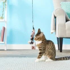 Pet Fit For Life 2 Feathers & 1 Coon Tail Wand Cat Toy -Cat Supplies 123824 PT2. AC SS1800 V1589320873