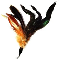 Pet Fit For Life 2 Feathers & 1 Coon Tail Wand Cat Toy -Cat Supplies 123824 PT5. AC SS1800 V1589320856
