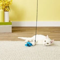 Pet Fit For Life 7 Piece Replacement Feather Pack For Wand Cat Toy -Cat Supplies 123827 PT2. AC SS1800 V1589320880