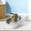Lucky Champ Cat Litter Pan