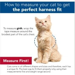 Comfort Soft Mesh Cat Harness 17 Comfort Soft Mesh Cat Harness -Cat Supplies 128175 PT8. AC SS1800 V1678124310