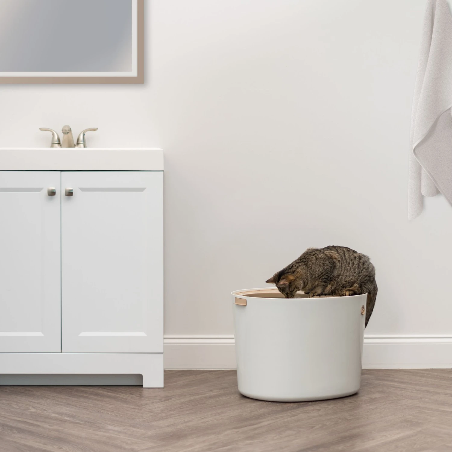 IRIS USA Round Top Entry Cat Litter Box & Scoop 3 IRIS USA Round Top Entry Cat Litter Box & Scoop - Image 3