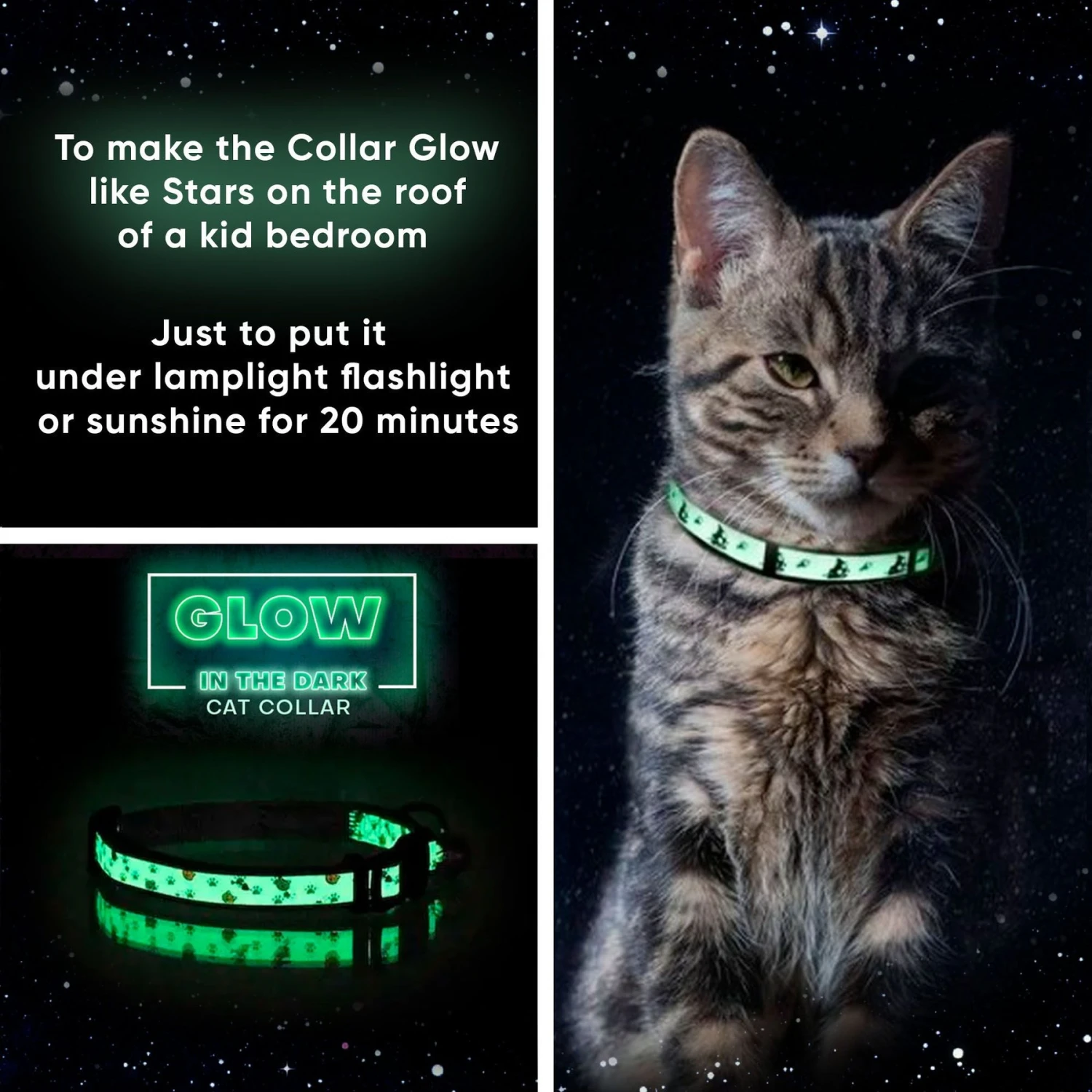 Pawtitas Glow In The Dark Nylon Breakaway Cat Collar With Bell 3 Pawtitas Glow In The Dark Nylon Breakaway Cat Collar With Bell - Image 3