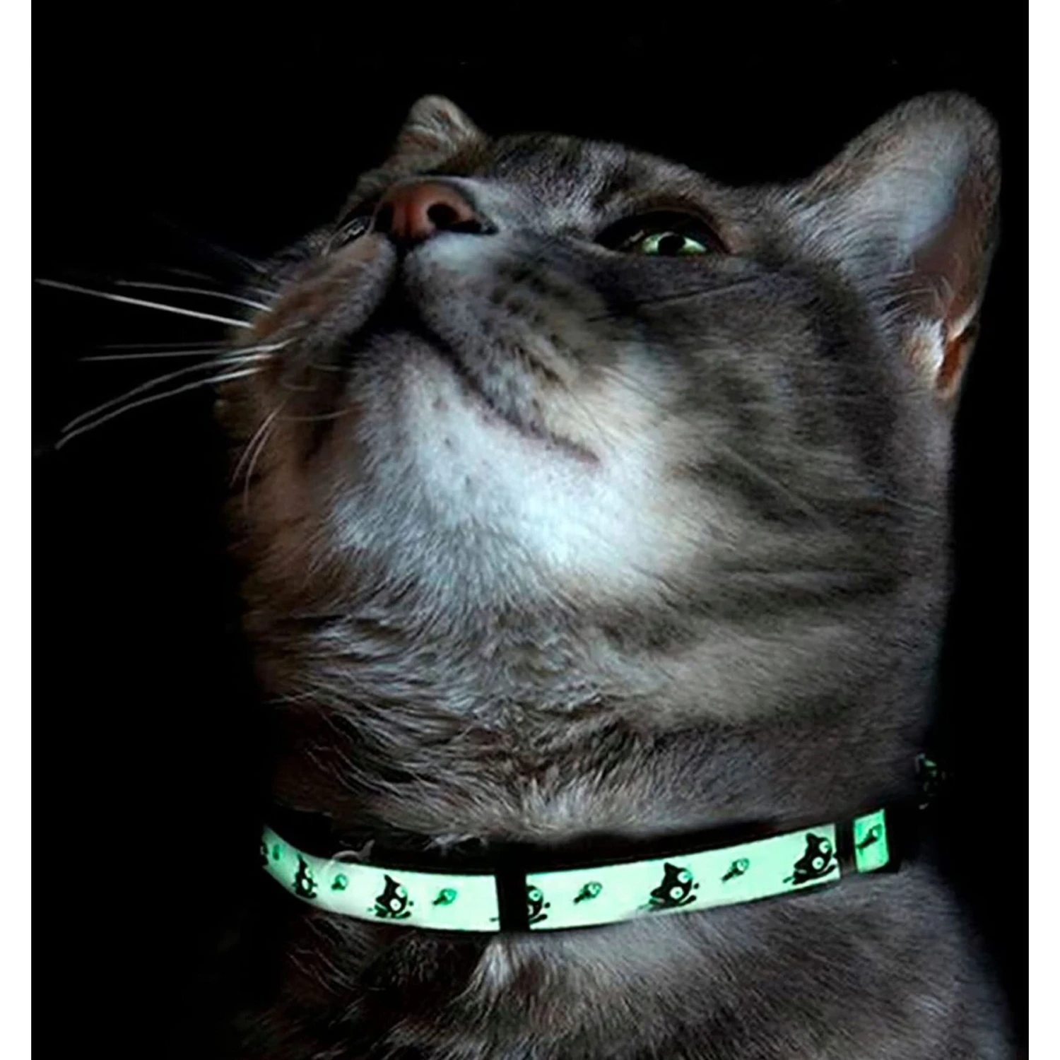 Pawtitas Glow In The Dark Nylon Breakaway Cat Collar With Bell 8 Pawtitas Glow In The Dark Nylon Breakaway Cat Collar With Bell - Image 8