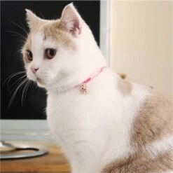 Necoichi Chirimen Clover Breakaway Cat Collar With Bell -Cat Supplies 137007 PT6. AC SS1800 V1688753306