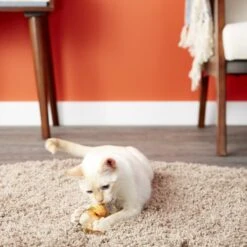 Petlinks HyperNip Love Birds Cat Toy With Catnip 12 Petlinks HyperNip Love Birds Cat Toy With Catnip -Cat Supplies 137496 PT3. AC SS1800 V1595364411