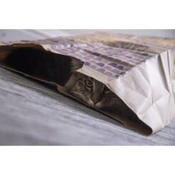 SmartyKat Cat Caves Catnip Infused Paper Bags, 2 Count 9 SmartyKat Cat Caves Catnip Infused Paper Bags, 2 Count -Cat Supplies 137534 PT2. AC SS1800 V1599754678