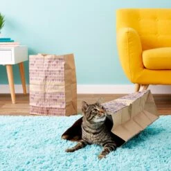 SmartyKat Cat Caves Catnip Infused Paper Bags, 2 Count 12 SmartyKat Cat Caves Catnip Infused Paper Bags, 2 Count -Cat Supplies 137534 PT5. AC SS1800 V1525718344