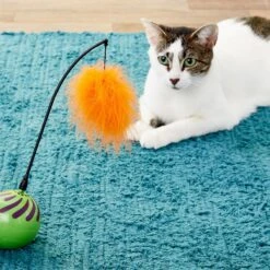 SmartyKat Universal Replacement Wand Cat Toy -Cat Supplies 137641 PT3. AC SS1800 V1545250733