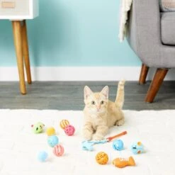 Hartz Just For Cats Toy Variety Pack, 13 Count -Cat Supplies 139111 PT2. AC SS1800 V1589230985