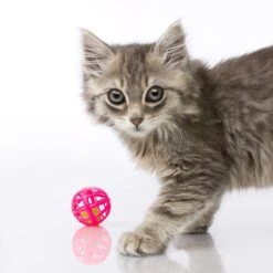 Hartz Just For Cats Toy Variety Pack, 13 Count -Cat Supplies 139111 PT3. AC SS1800 V1589230986