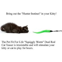 Pet Fit For Life 5 Piece Squiggly Worm Wand Cat Toy -Cat Supplies 140078 PT3. AC SS1800 V1589320919