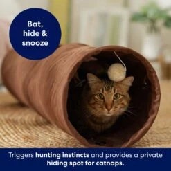 Frisco 35-in Foldable Crinkle Play Tunnel With 1 Window -Cat Supplies 140166 PT3. AC SS1800 V1695670685