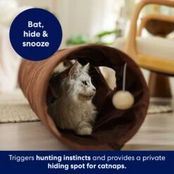 Frisco 47-in Foldable Crinkle Play Tunnel With 2 Windows 8 Frisco 47-in Foldable Crinkle Play Tunnel With 2 Windows -Cat Supplies 140168 PT3. AC SS1800 V1695241917