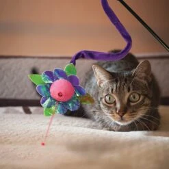 KONG Laser Teaser Cat Toy -Cat Supplies 143207 PT2. AC SS1800 V1631762885