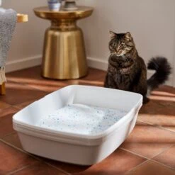 Frisco Summer Clean Scented Non-Clumping Crystal Cat Litter -Cat Supplies 144146 PT4. AC SS1800 V1659023731