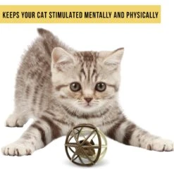 Pet Zone Ball Of Furry Fury Cat Toy With Catnip 11 Pet Zone Ball Of Furry Fury Cat Toy With Catnip -Cat Supplies 144159 PT4. AC SS1800 V1639090912