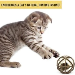 Pet Zone Ball Of Furry Fury Cat Toy With Catnip 12 Pet Zone Ball Of Furry Fury Cat Toy With Catnip -Cat Supplies 144159 PT5. AC SS1800 V1639092405