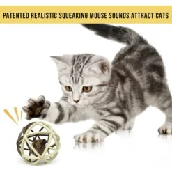 Pet Zone Ball Of Furry Fury Cat Toy With Catnip 13 Pet Zone Ball Of Furry Fury Cat Toy With Catnip -Cat Supplies 144159 PT6. AC SS1800 V1639092747