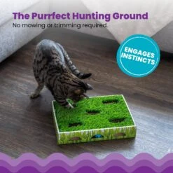 Catstages Grass Patch Hunting Box Cat Scratcher Toy -Cat Supplies 148104 PT2. AC SS1800 V1631679976
